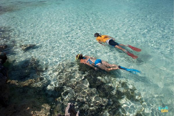 Snorkeling in punta uva costa rica